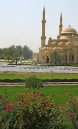 The Gulf Focus