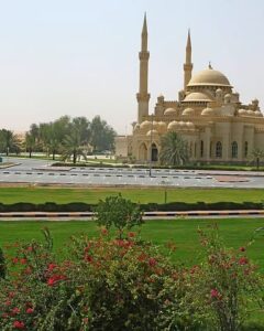 The Gulf Focus
