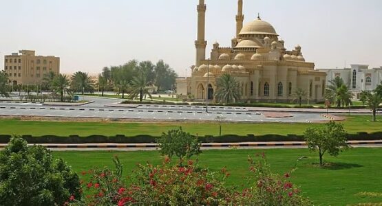 The Gulf Focus