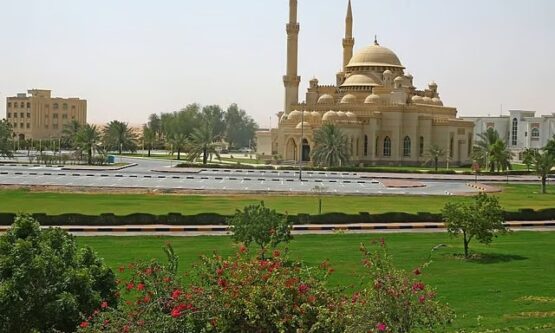 The Gulf Focus